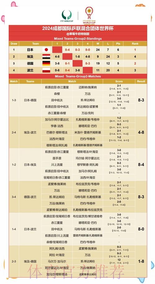 世界杯赛果预测与竞猜指南